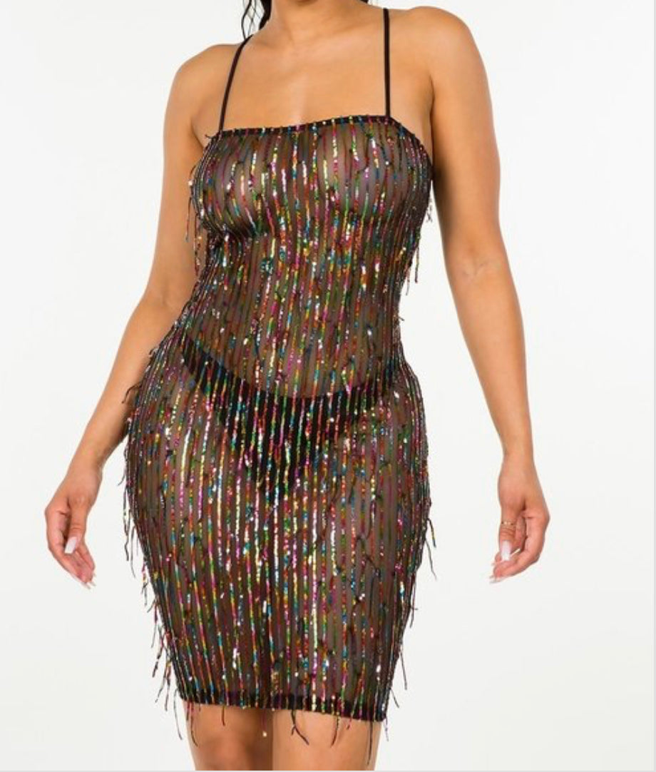 Sequin Fringe Mini Dress S Sequin Fringe Mini Dress S
