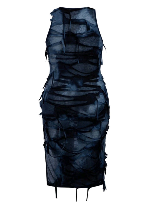 Distressed Dress